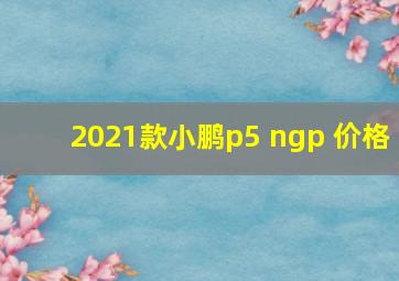 2021款小鹏p5 ngp 价格